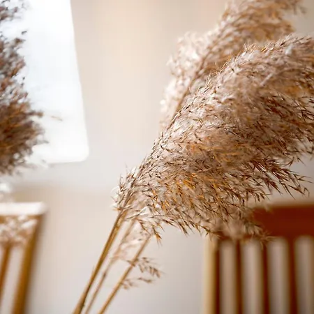 Haus Pegasus Kuestenliebe Scharbeutz