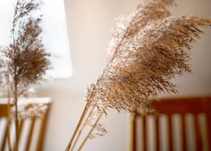 Haus Pegasus Kuestenliebe Scharbeutz